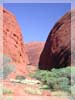 Olgas Kata Tjuta